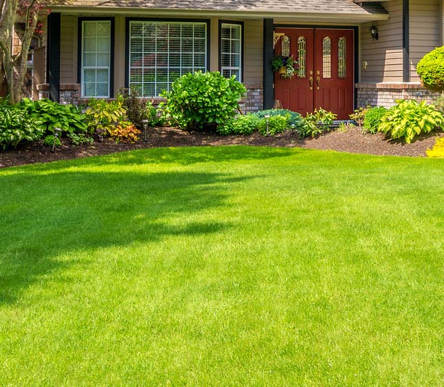 Lawn care, Gardening and Maintenance